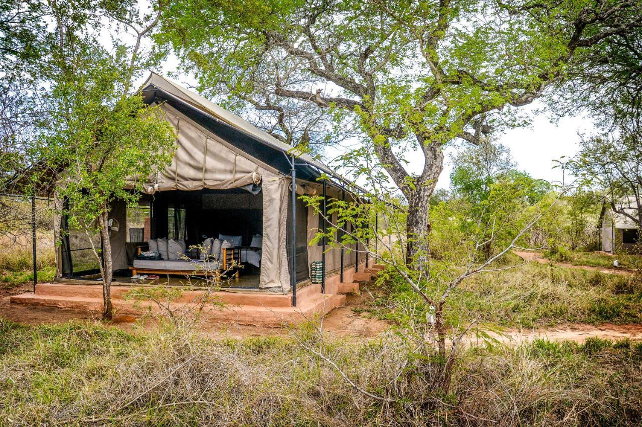 Honeyguide Tented Safari Camp - Khoka Moya Manyeleti Game Reserve Exterior photo