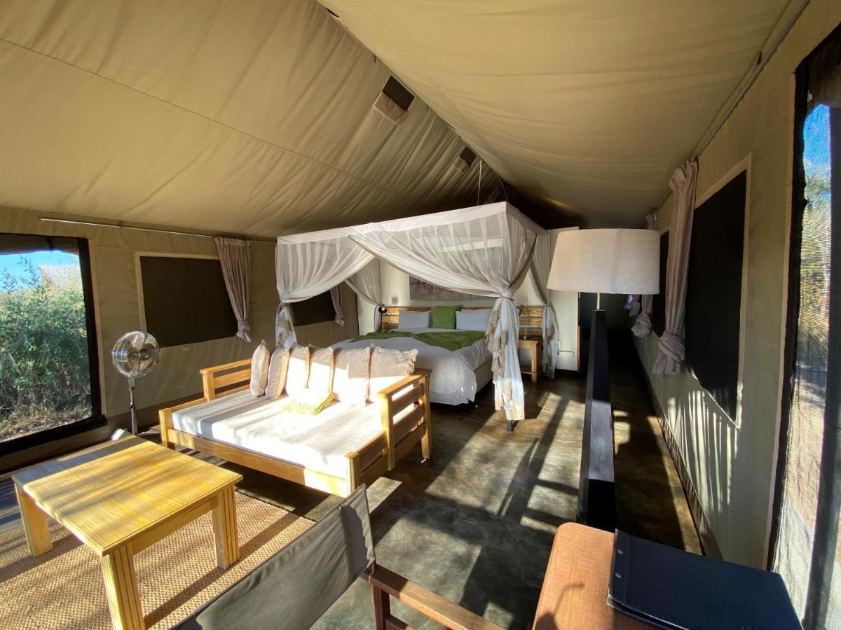 Honeyguide Tented Safari Camp - Khoka Moya Manyeleti Game Reserve Exterior photo