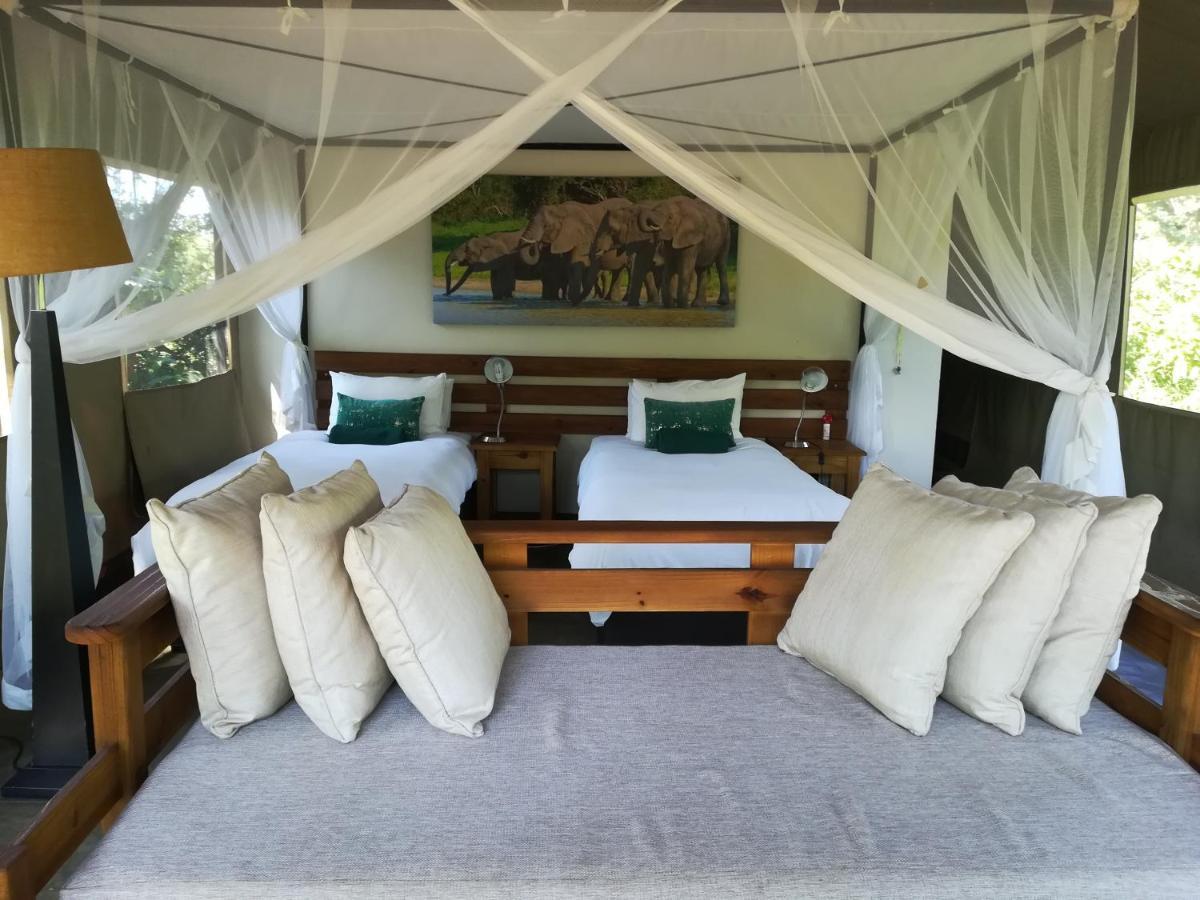 Honeyguide Tented Safari Camp - Khoka Moya Manyeleti Game Reserve Exterior photo