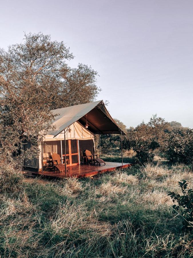 Honeyguide Tented Safari Camp - Khoka Moya Manyeleti Game Reserve Exterior photo