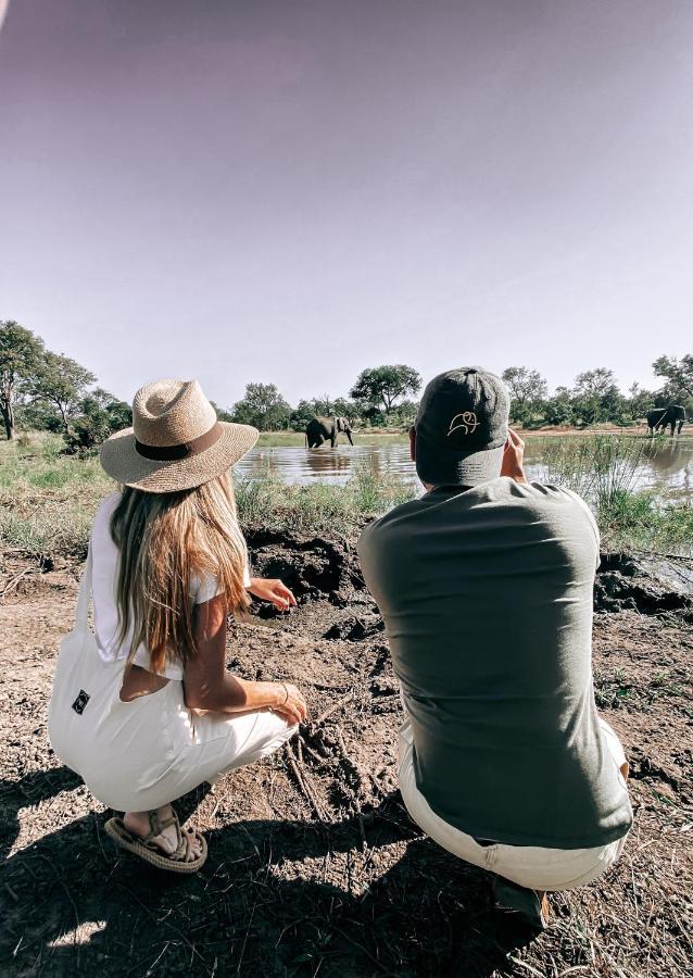 Honeyguide Tented Safari Camp - Khoka Moya Manyeleti Game Reserve Exterior photo