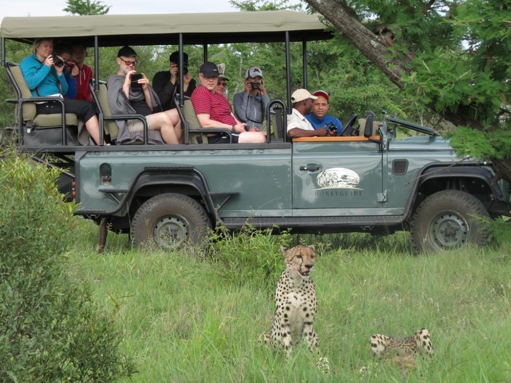 Honeyguide Tented Safari Camp - Khoka Moya Manyeleti Game Reserve Exterior photo