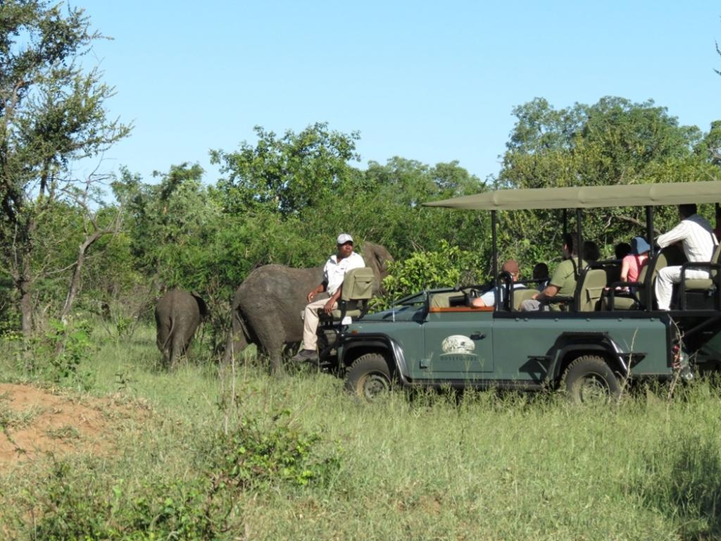 Honeyguide Tented Safari Camp - Khoka Moya Manyeleti Game Reserve Exterior photo